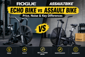 Rogue Echo Bike vs Assault Bike: Price, Noise & Key Differences